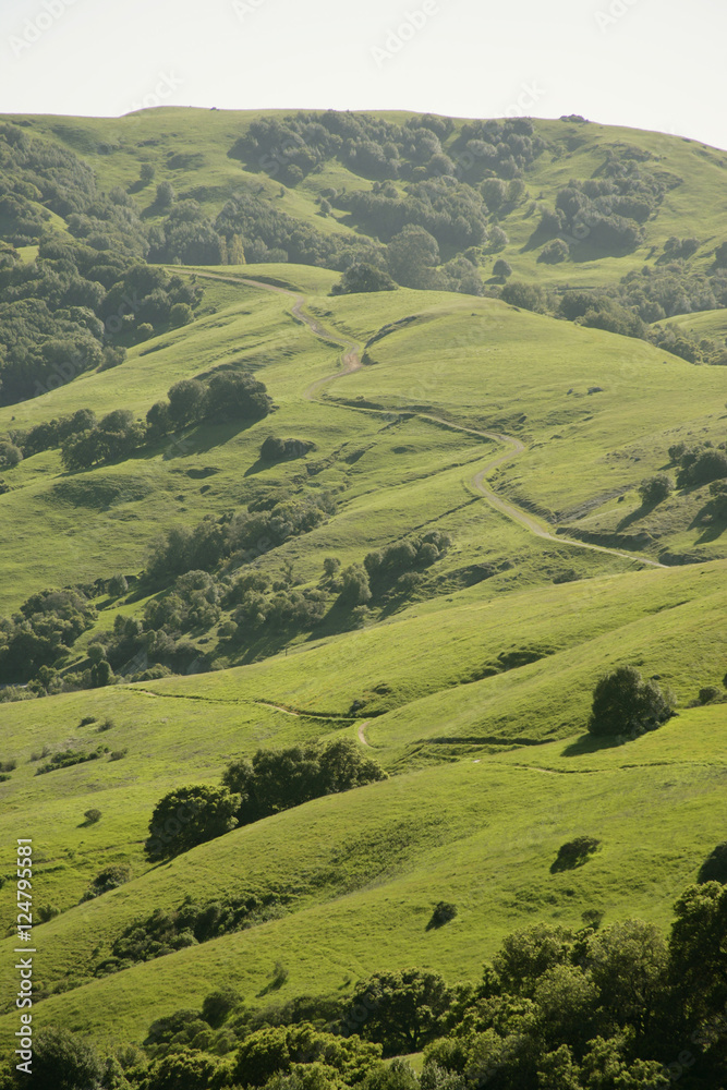 lucas valley hills