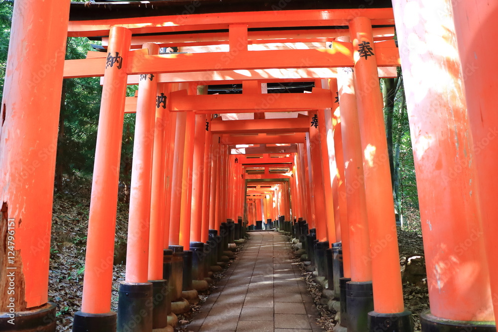 Fushimi Inari Taisya shrine Kyoto Japan