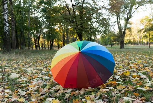colored umbrella on autumn leaves