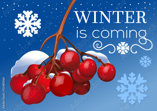 Holiday winter background with a branch of rowan in the snow. Christmas & New Year design. Elegant vintage card. Vector illustration