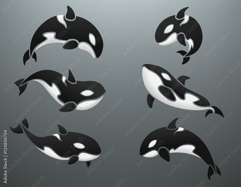 Fototapeta premium Orca logotype set vector illustration