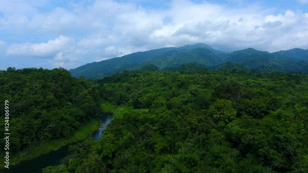 Aerial video above tropical forest in a sunny day Aerial video above tropical forest in a sunny day