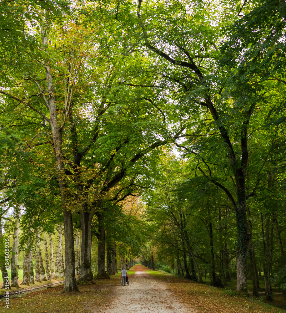 Fototapeta premium Chateau de Chenonceau
