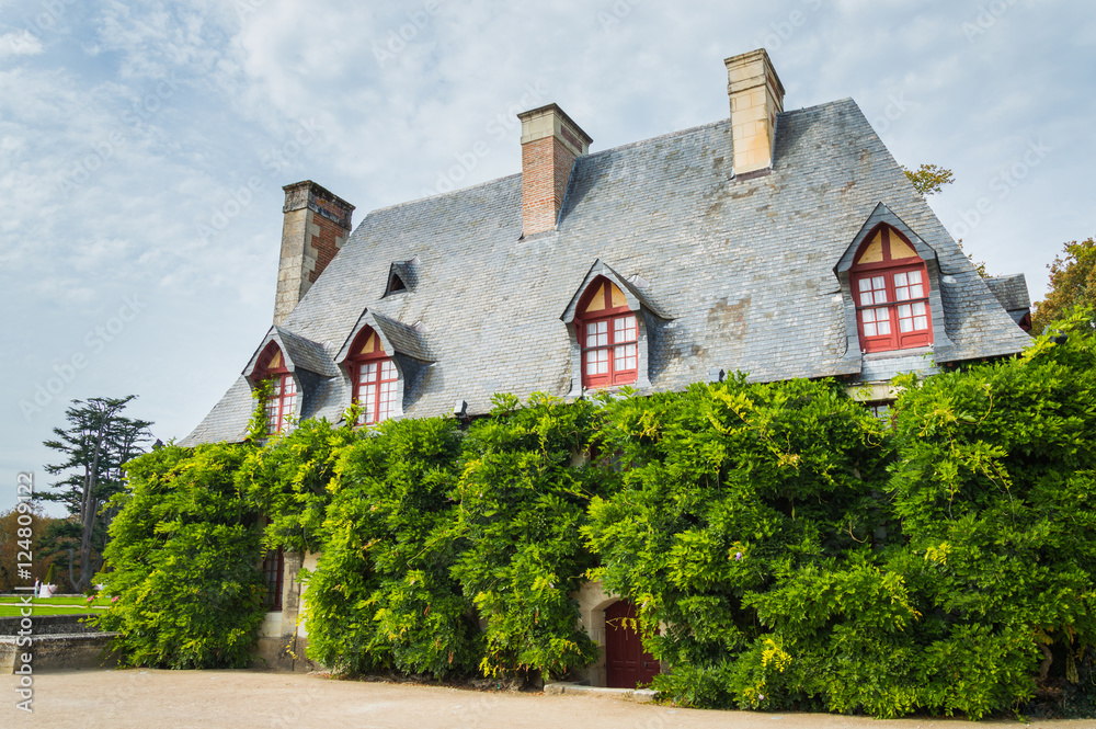 The facade of old French home covered with ivy