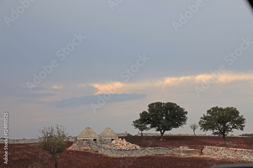 trullis n stone fence photo