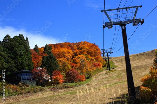 蔵王の紅葉(山形県)