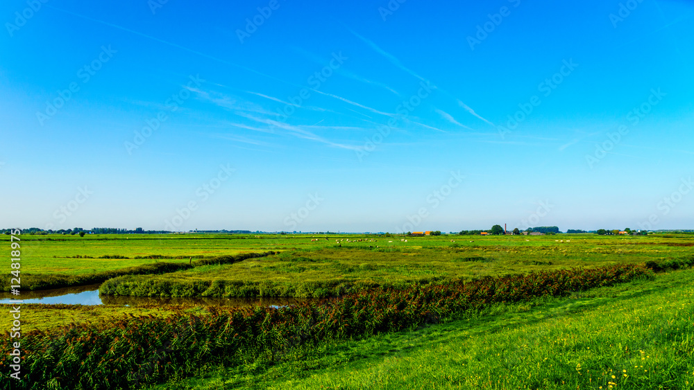 Farmer fields and meadows below the dike along the Veluwemeer under blue sky near the town of Nijkerk in the Netherlands