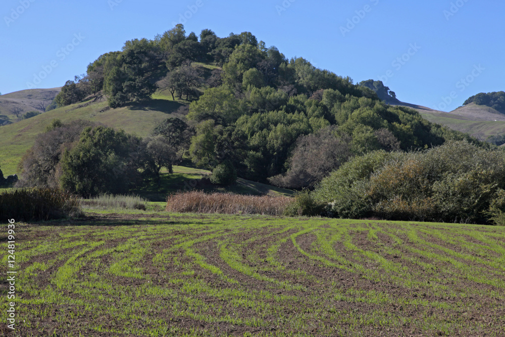 farm n hills