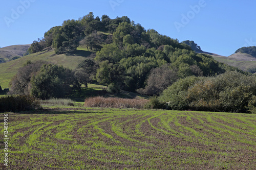 farm n hills
