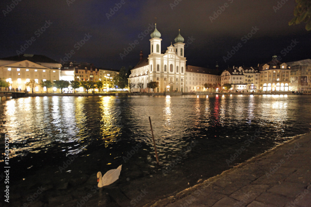 church river swan at night