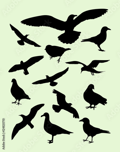 Seagulls, dove, pigeon, crow silhouette. Good use for symbol, logo, web icon, mascot, sign, or any design you want.
