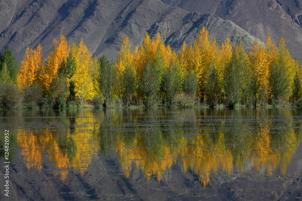 trees reflection mtns n clouds