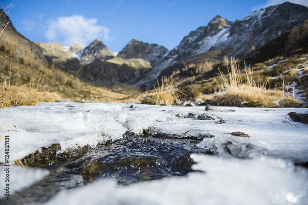 Fototapeta premium silence in nature enjoy