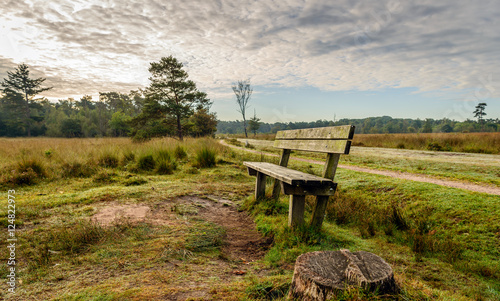 Weathered wooden bench in a nature reserve early in the morning