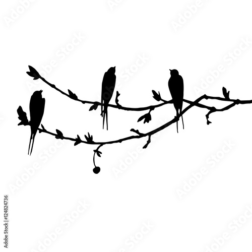 birds at tree silhouettes