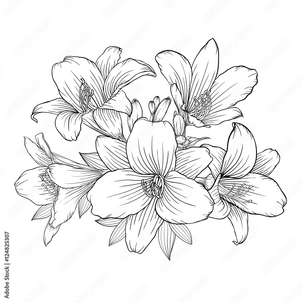 beautiful monochrome black and white bouquet lily isolated on background.