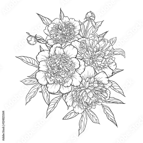 beautiful monochrome black and white bouquet peony isolated on background.
