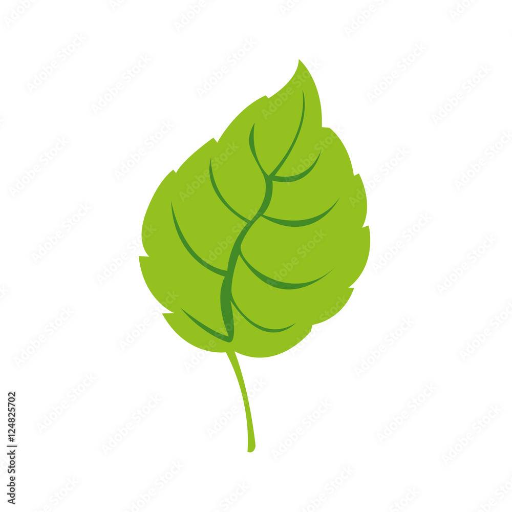 simple leaf icon image vector illustration design simple leaf icon image vector illustration design