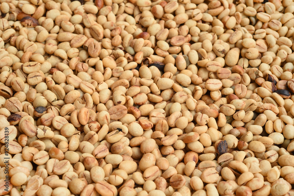 Close up of coffee beans for background Close up of coffee beans for background