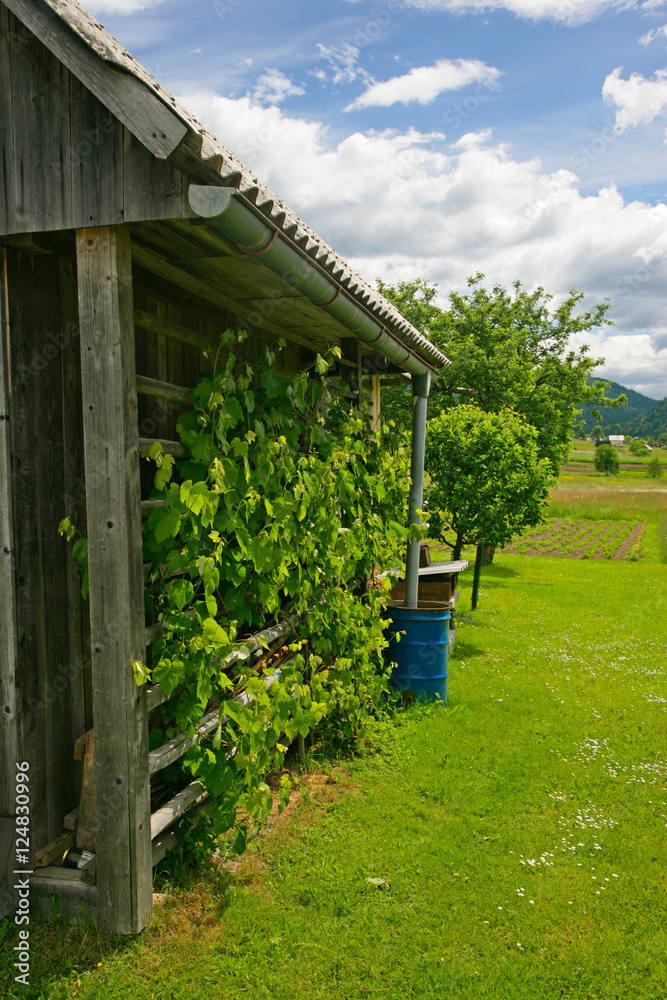 wildflowers n shed wildflowers n shed