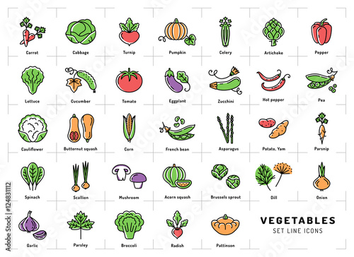 Vegetables icon isolated, Spices logo. Colorful icons of vegetables in the trendy linear style. Fresh vegetarian food: tomato, salad, carrot, pepper, pumpkin, pea, onion, dill, parsley and etc. Vector photo