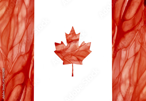 флаг канады вырезан из грейпфрута яркий красный и сочный