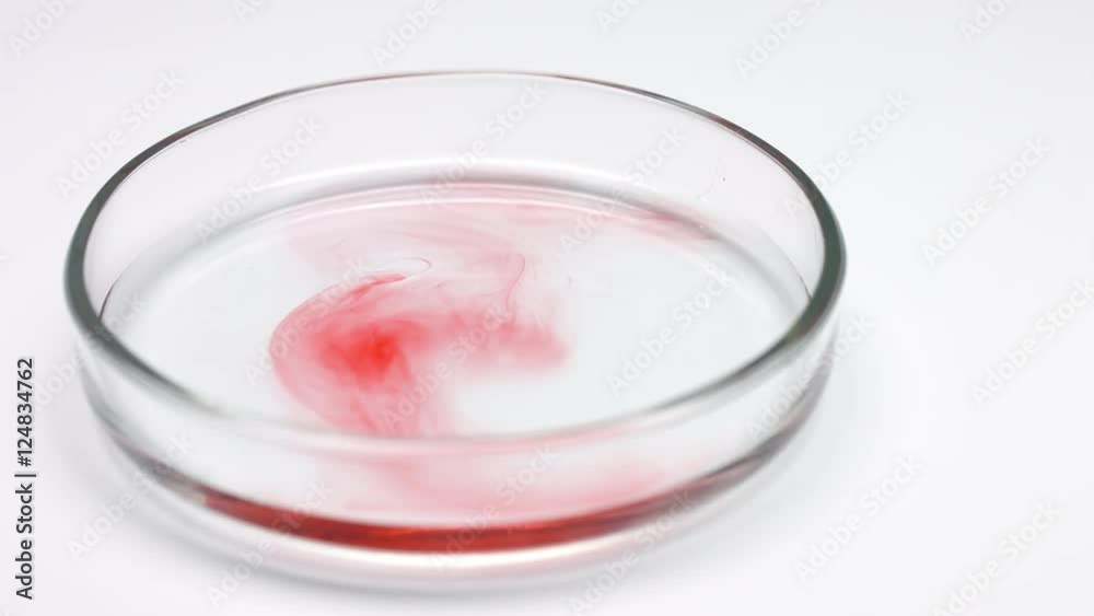 Hands in blue gloves shake red liquid in petri dish, preparing ivf solution, media Hands in blue gloves shake red liquid in petri dish, preparing ivf solution, media