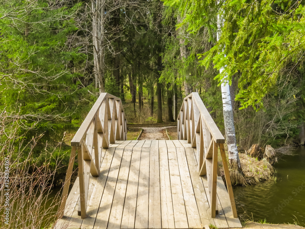 Wooden bridge on the forest river