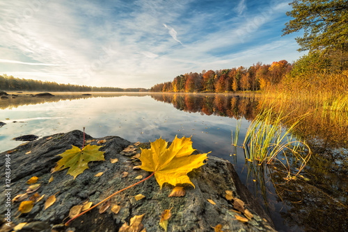 Idyllic autumn lake scenery with maple leaf on the rock