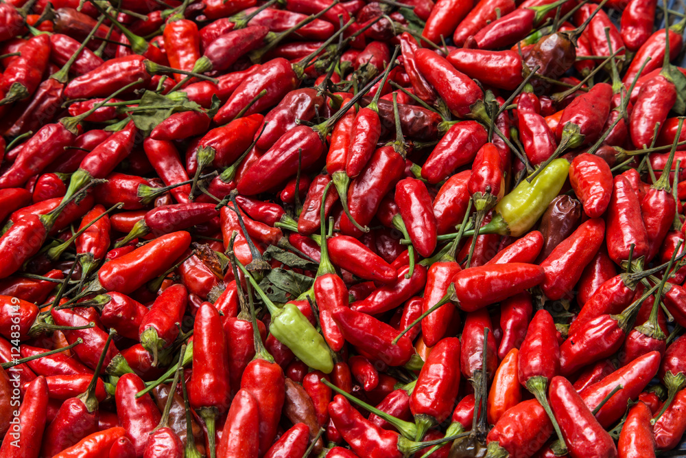 red spicy chili group