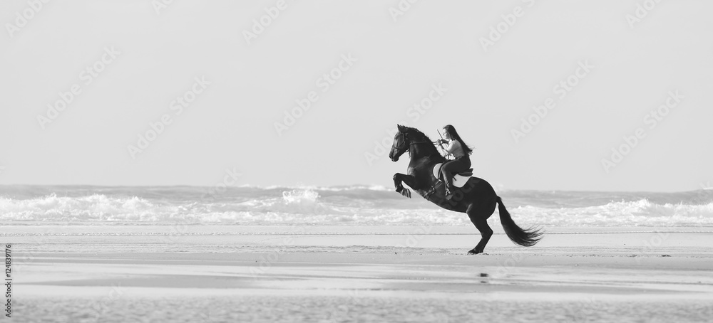 Rider stroking and making his horse rear on the beach