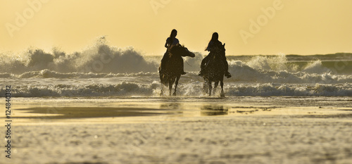Horse riding on the beach at sunset © FreeProd