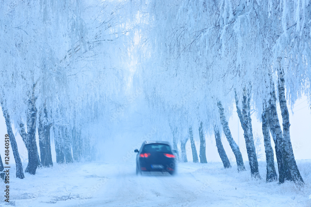 Auto fährt auf vereister und verschneiter Straße durch Birkenallee, alles ist von Eis und Schnee bedeckt Auto fährt auf vereister und verschneiter Straße durch Birkenallee, alles ist von Eis und Schnee bedeckt