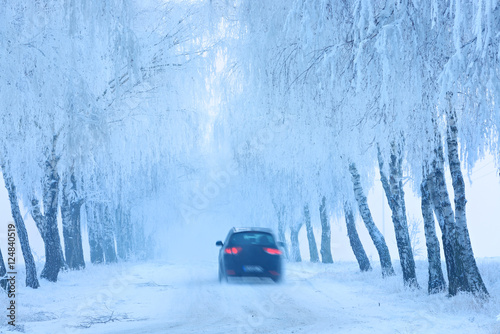 Auto fährt auf vereister und verschneiter Straße durch Birkenallee, alles ist von Eis und Schnee bedeckt