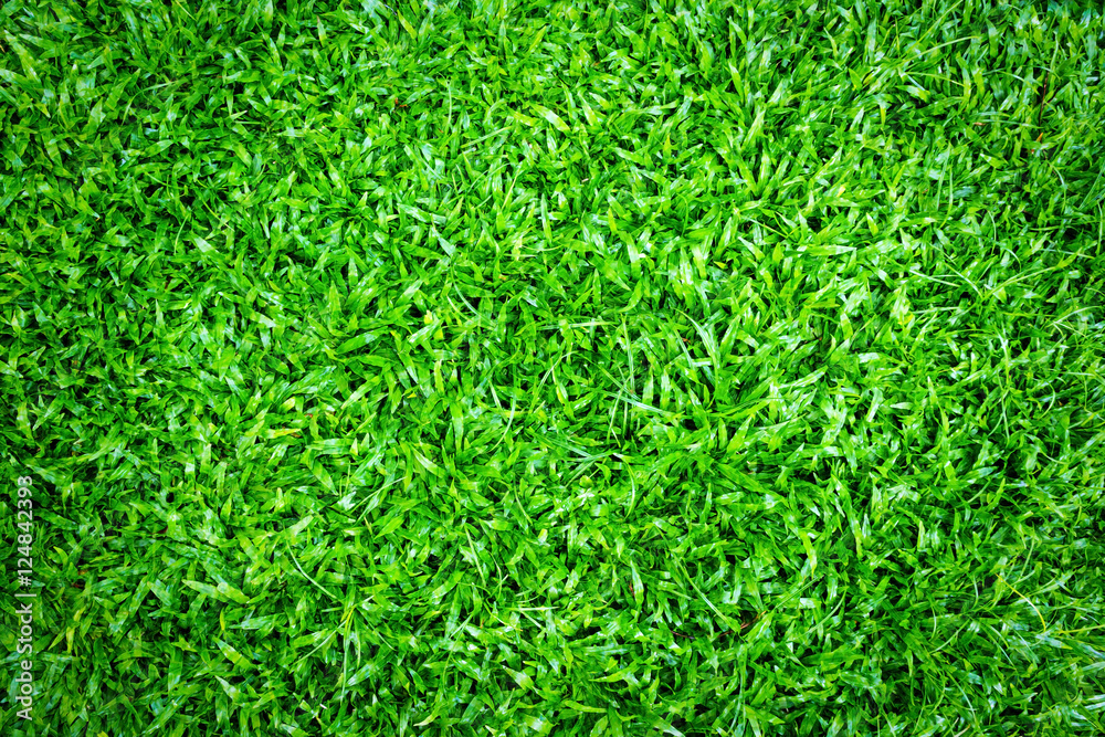 green grass background. green grass background.