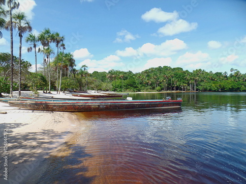 Tropical beach / tropical beach with palm trees on the coast of the Canaima lagoon, Venezuela