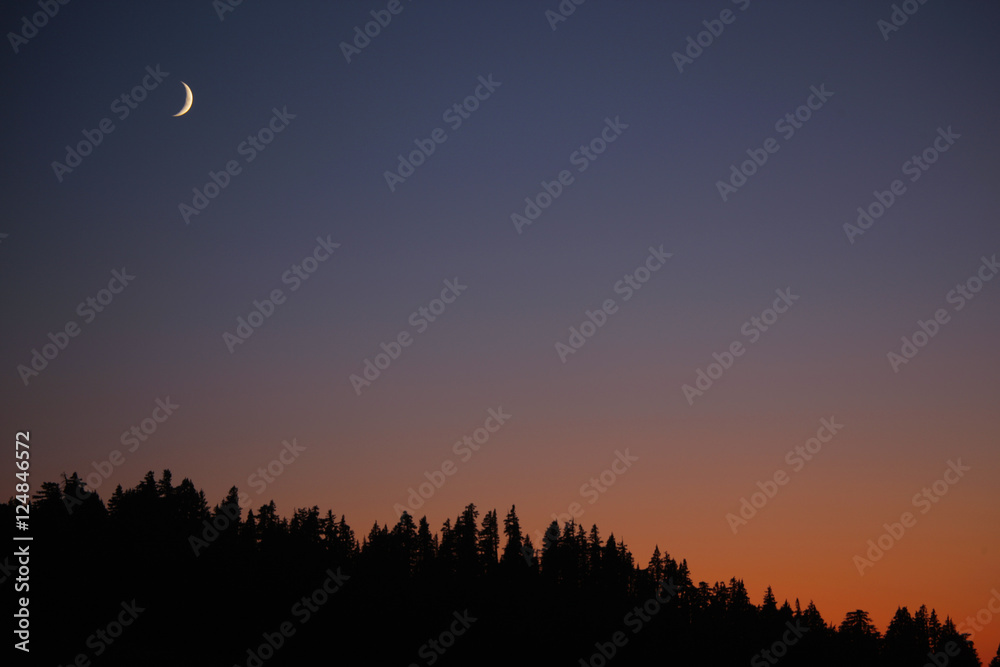 moon over trees at sunset