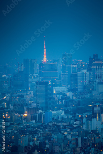 Obraz na płótnie Shinjuku Ward skyline in Tokyo, Japan. w salonie