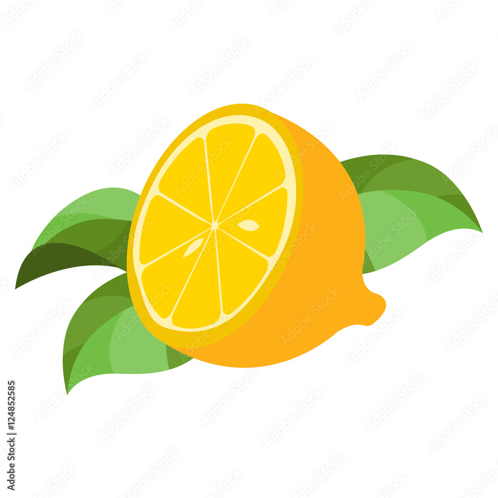 Half of lemon logo. Half of lemon logo. Color illustration of citrus. Half of lemon logo. Half of lemon logo. Color illustration of citrus.
