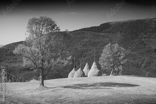 Haystacks in a Carpathian valley. Monochrome