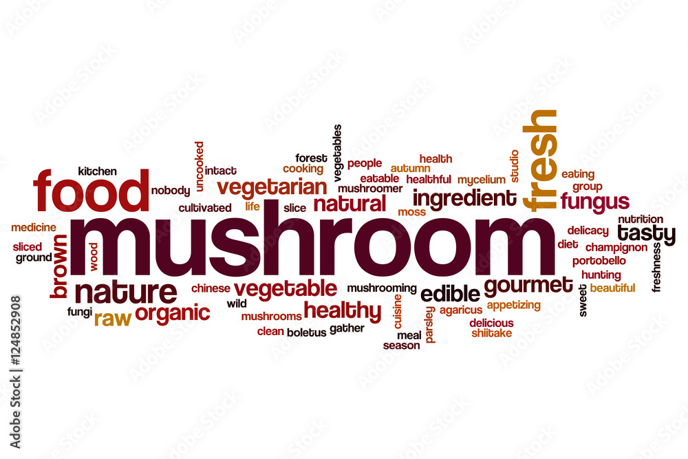 Mushroom word cloud