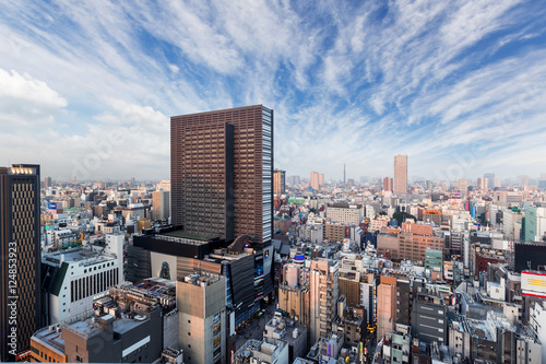 Shinjuku Ward skyline in Tokyo  Japan.