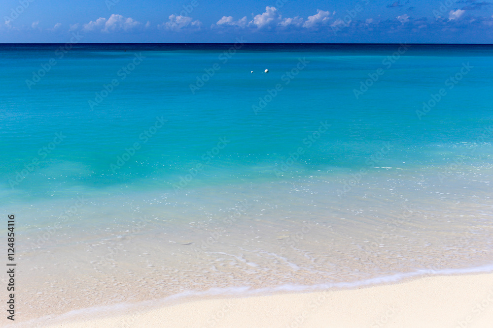 Obraz premium Caribbean coast