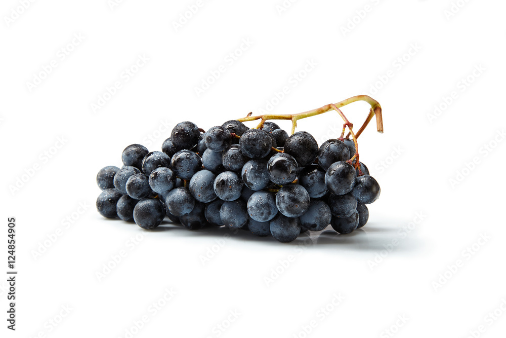 still life di un grappolo d'uva con goccioline d' acqua su sfondo bianco