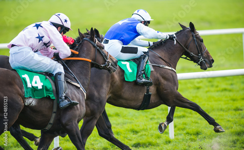 Race horse and jockey in the lead  © Gabriel Cassan