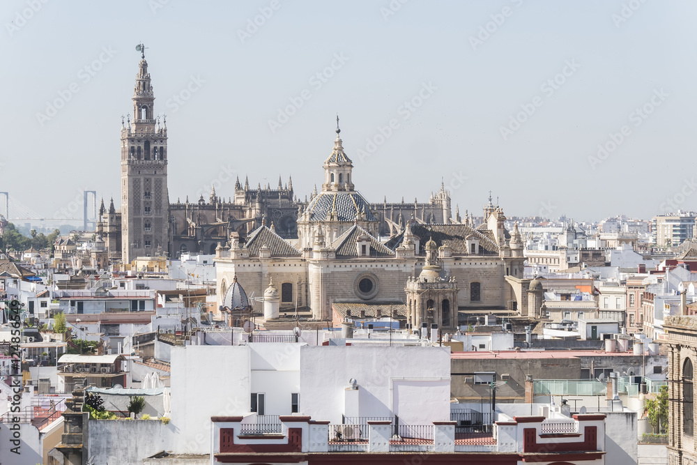 Collegiate Church of the Divine Savior, Seville Cathedral and Gi