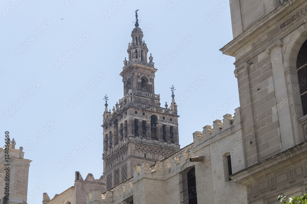 Bell tower Giralda, former minaret of Cathedral church, Seville,