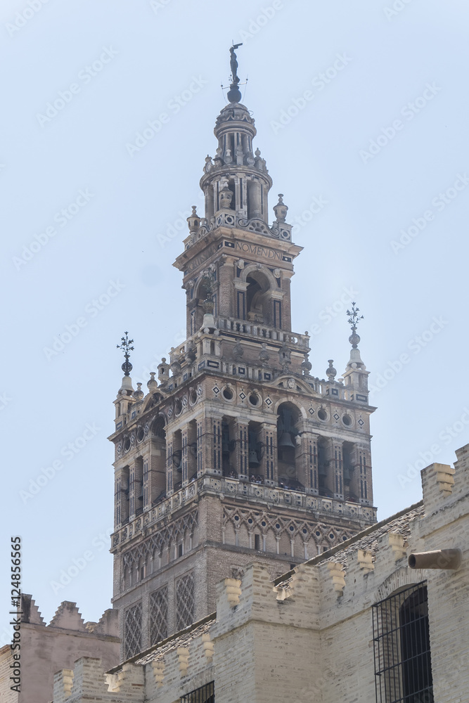 Bell tower Giralda, former minaret of Cathedral church, Seville,