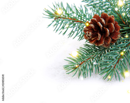 Christmas fir tree branch and lights.