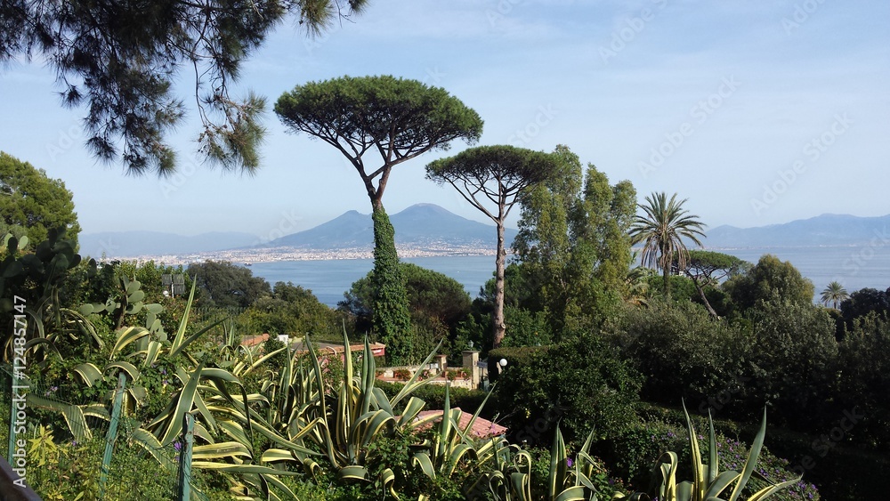 Fototapeta premium napoli